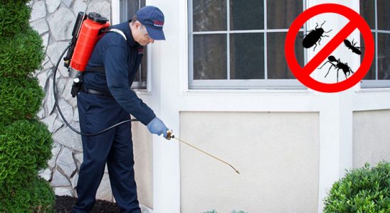 Hekimhan Karınca İlaçlama böcek ilaçlama ve haşere kontrolü — ilaclama-tr.com